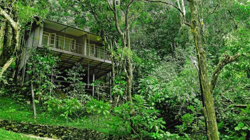 Cottage Outside view at Wayanad Wild - CGH Jungle Stay at Lakkidi