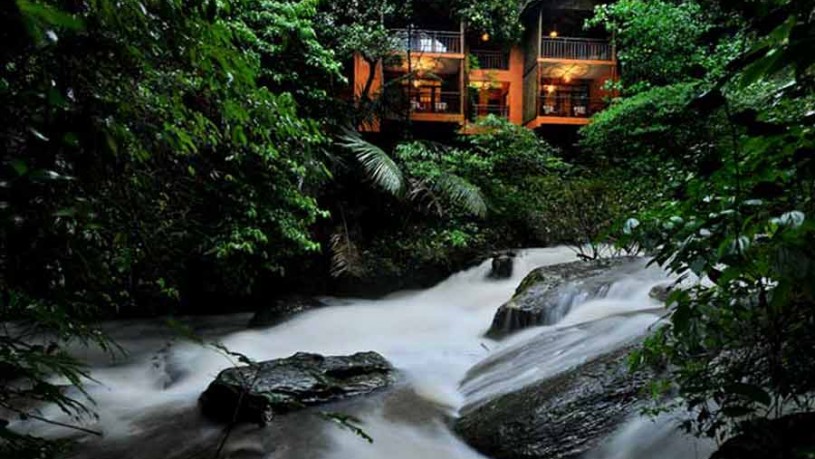 The Exclusive jungle getaway in the rain forest at Lakkidi